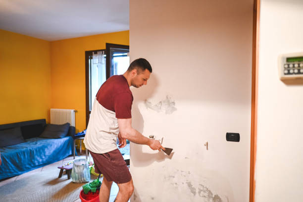 Best Black Mold Removal  in Ammon, ID